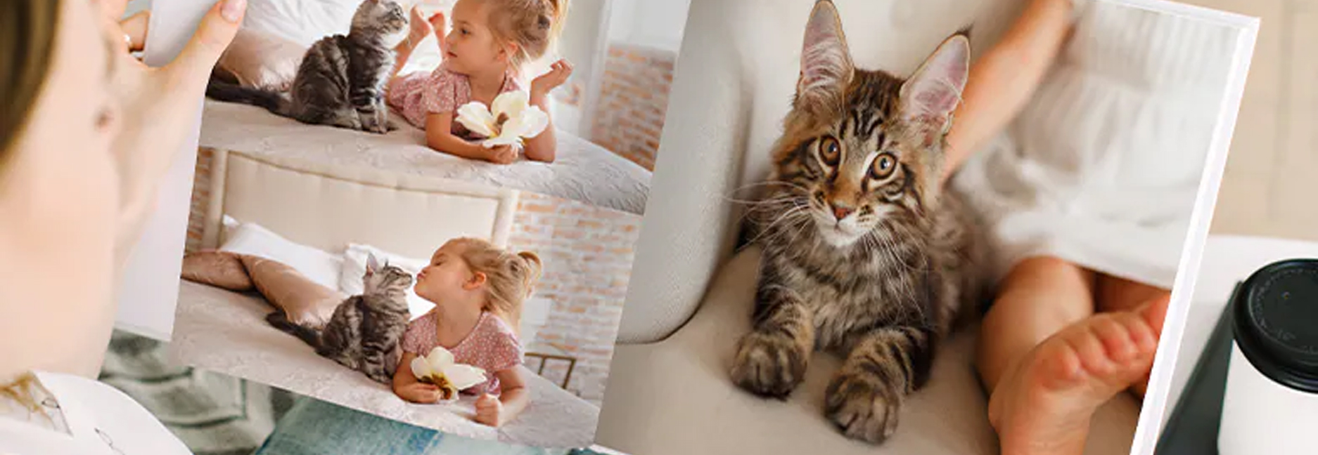 Türkiye'nin Albüm Merkezi